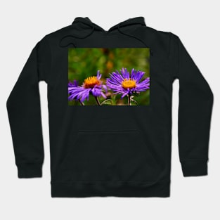 Purple Aster Blossoms Hoodie